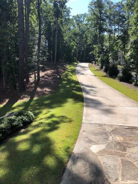 Bermuda Grass Wake Forest
