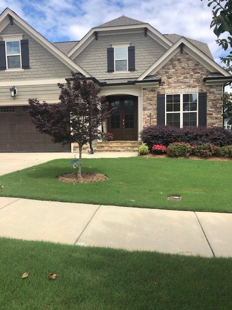 Rolesville Wake Forest Bermudagrass