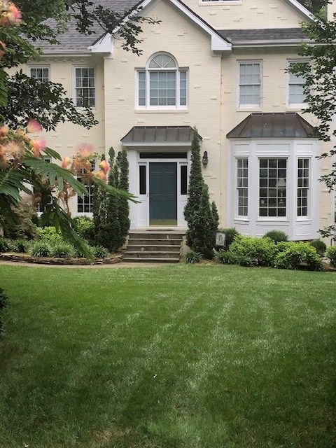 Tall Fescue Lawn Care Wake Forest