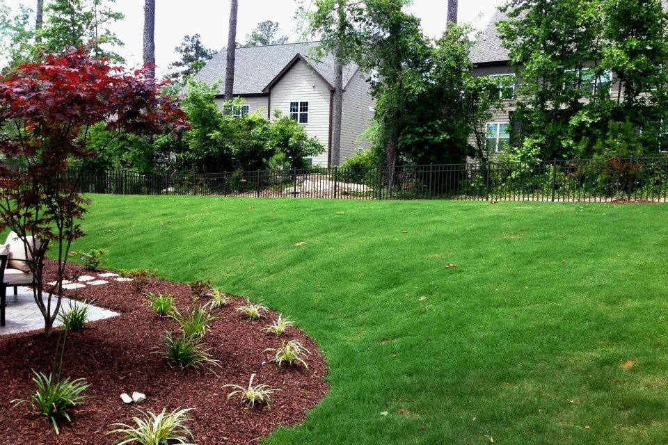 Wake Forest Lawn Care Bermuda Sod