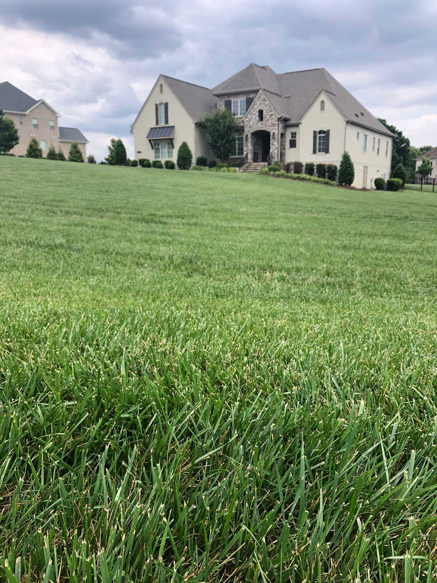 Wake-Forest-Lawn-Expert-Care