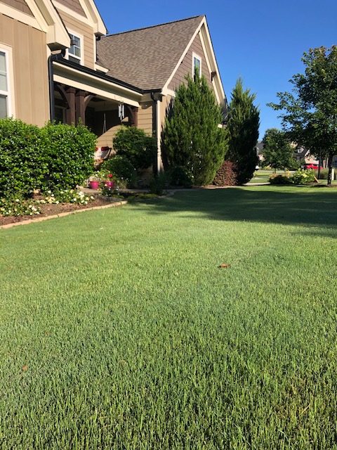 Wake Forest Rolesville lawn care services