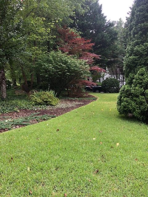 Wake Forest lawn care services