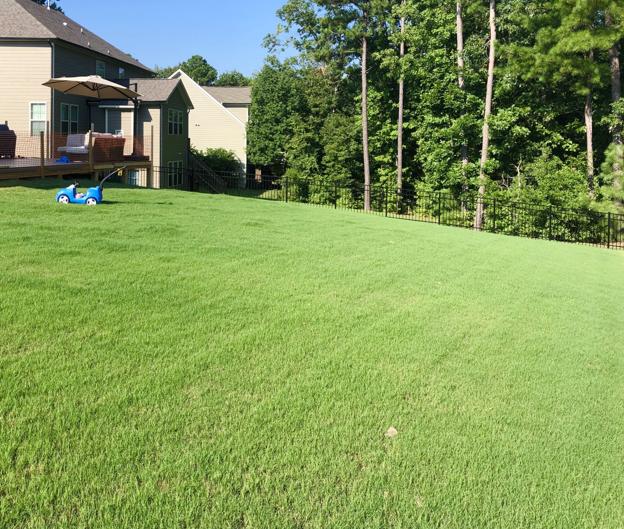 Lawn Treatment