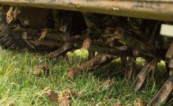 Getting the Most Out of Your Fall Fescue Lawn Renovation