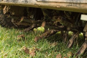 Getting the Most Out of Your Fall Fescue Lawn Renovation