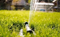 How Much Should I Water My Lawn?