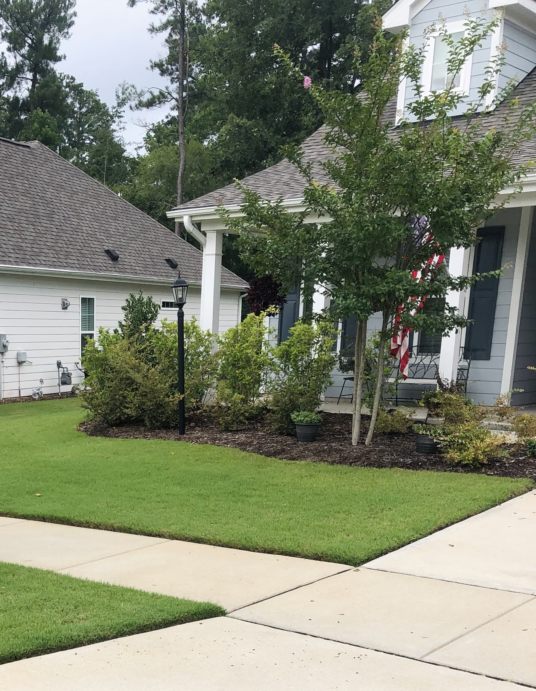 Wake Forest-Lawn Care-Bermuda