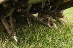 Why Aerate & Seed a Tall Fescue Lawn