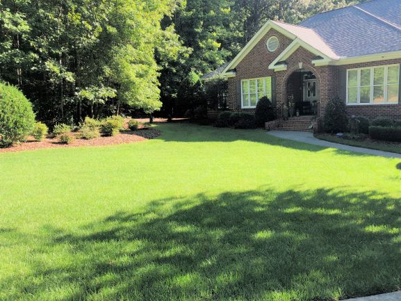 #27_Fairingdon_Fescue_2020-827_resize2