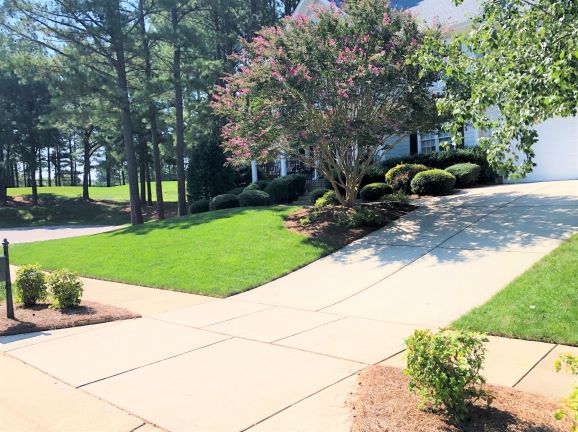 #28_Heritage Hills__Tall Fescue_3_2020-8-2_resize2