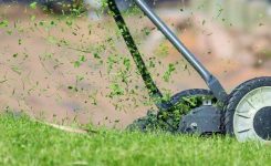 Should I Mow Before or After a Lawn Treatment?