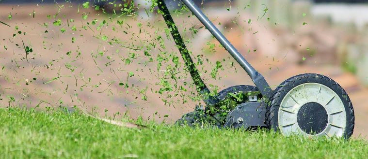 Should I Mow Before or After a Lawn Treatment? - Crownover Green Should I Mow Before or After a Lawn Treatment? - Crownover Green