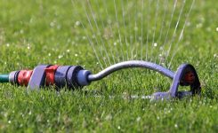 How Often & How Long Should I Water My Lawn?